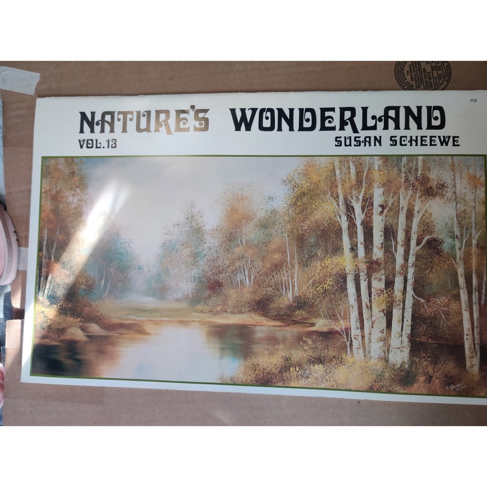 Vintage 1981 Natures Wonderland Vol 13 Susan Scheewe Painting Instruction Book
